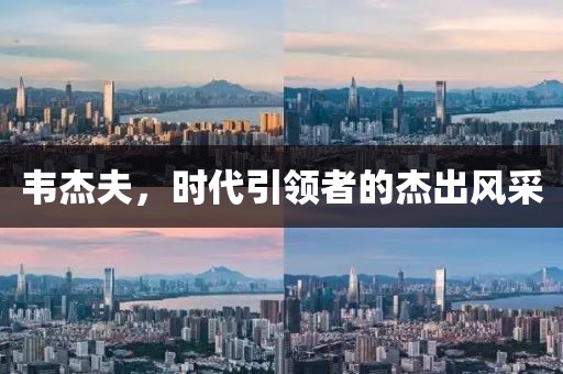 韦杰夫，时代引领者的杰出风采