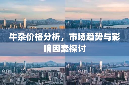 牛杂价格分析，市场趋势与影响因素探讨
