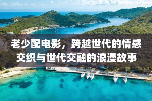 老少配电影，跨越世代的情感交织与世代交融的浪漫故事