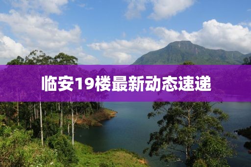 临安19楼最新动态速递