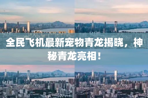 全民飞机最新宠物青龙揭晓，神秘青龙亮相！