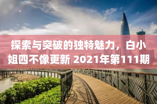 探索与突破的独特魅力，白小姐四不像更新 2021年第111期