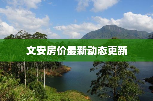 文安房价最新动态更新