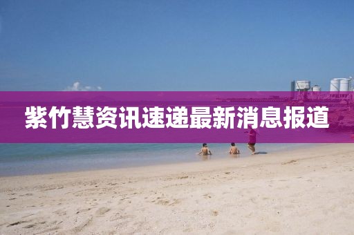 紫竹慧资讯速递最新消息报道