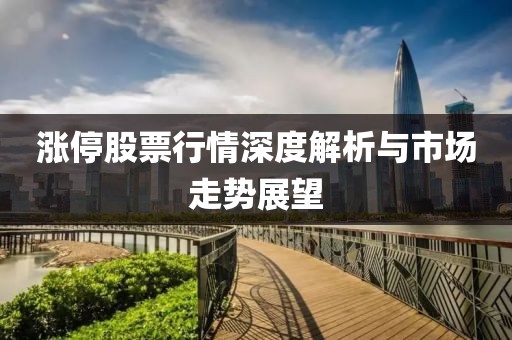 涨停股票行情深度解析与市场走势展望