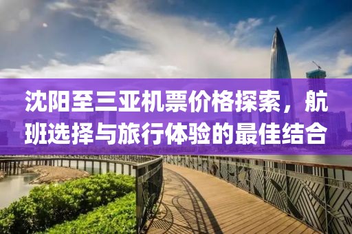 沈阳至三亚机票价格探索，航班选择与旅行体验的最佳结合