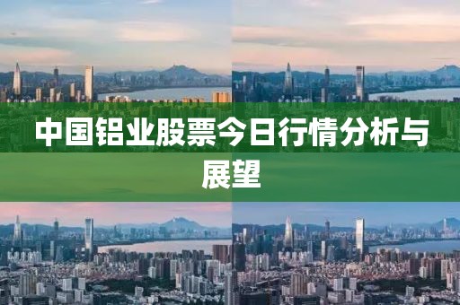 中国铝业股票今日行情分析与展望