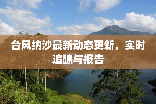 台风纳沙最新动态更新，实时追踪与报告