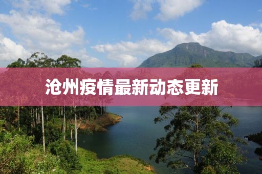 沧州疫情最新动态更新