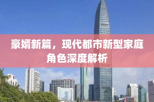 豪婿新篇，现代都市新型家庭角色深度解析