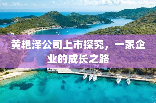 黄艳泽公司上市探究，一家企业的成长之路