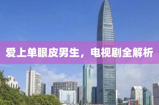 爱上单眼皮男生，电视剧全解析
