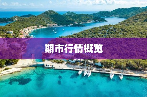 期市行情概览