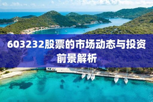 603232股票的市场动态与投资前景解析