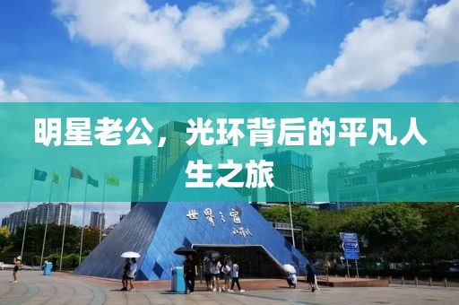 明星老公，光环背后的平凡人生之旅