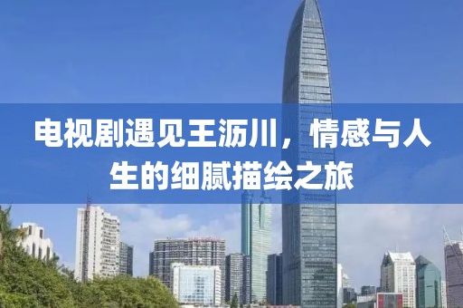 电视剧遇见王沥川，情感与人生的细腻描绘之旅