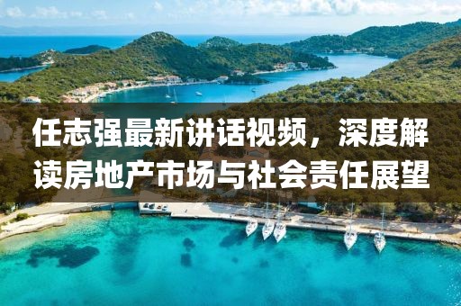 任志强最新讲话视频，深度解读房地产市场与社会责任展望