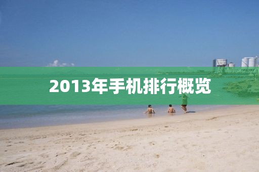 2013年手机排行概览