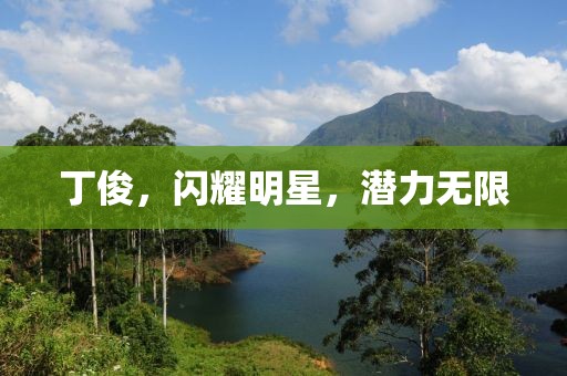 丁俊，闪耀明星，潜力无限