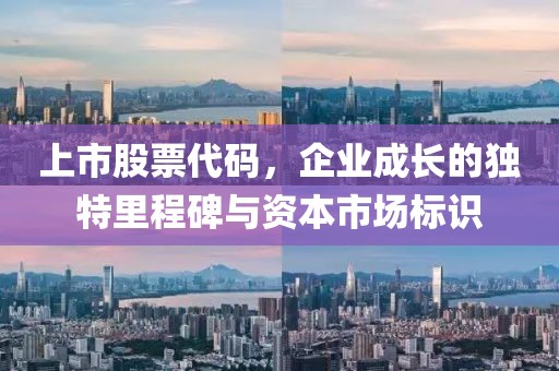 上市股票代码，企业成长的独特里程碑与资本市场标识