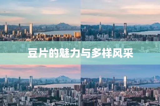 豆片的魅力与多样风采