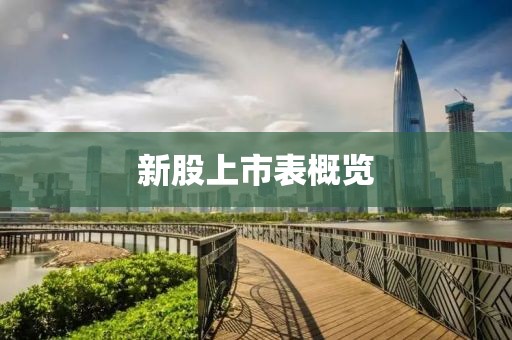 新股上市表概览