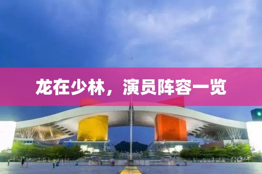 龙在少林，演员阵容一览