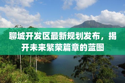 聊城开发区最新规划发布，揭开未来繁荣篇章的蓝图