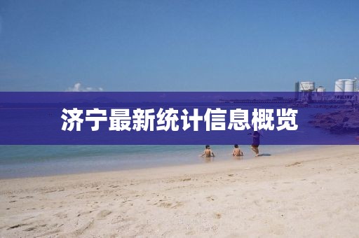 济宁最新统计信息概览