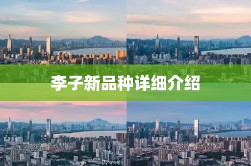 李子新品种详细介绍