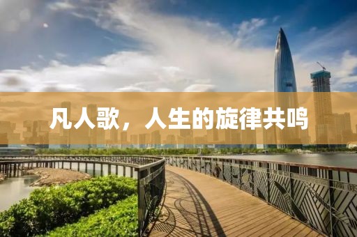 凡人歌，人生的旋律共鸣