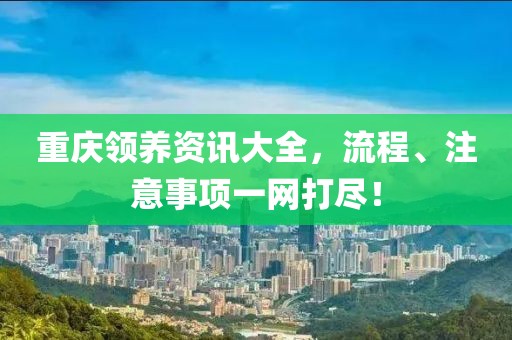 重庆领养资讯大全，流程、注意事项一网打尽！