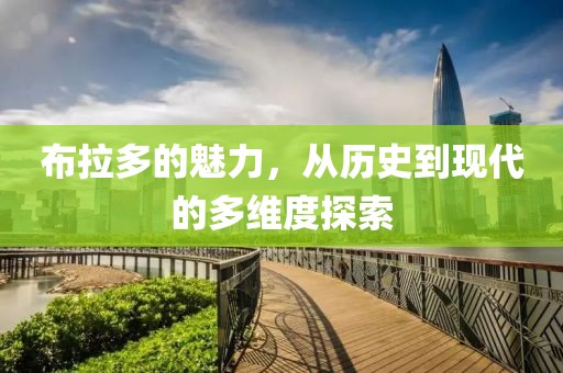布拉多的魅力，从历史到现代的多维度探索
