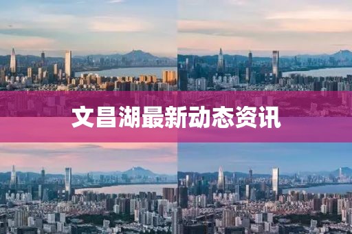 文昌湖最新动态资讯