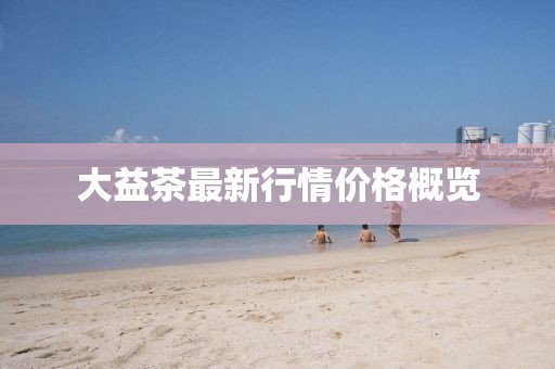 大益茶最新行情价格概览