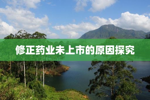 修正药业未上市的原因探究
