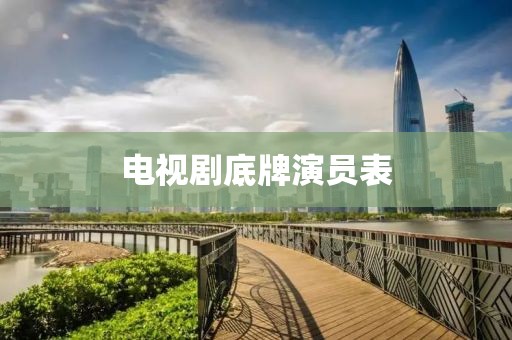 电视剧底牌演员表