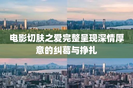 2025年2月 第237页