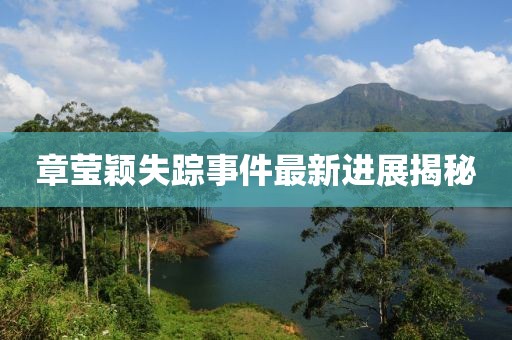 章莹颖失踪事件最新进展揭秘