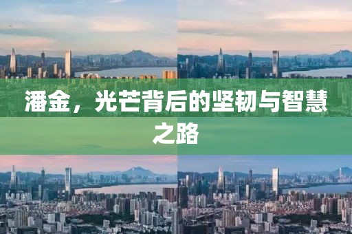 潘金，光芒背后的坚韧与智慧之路