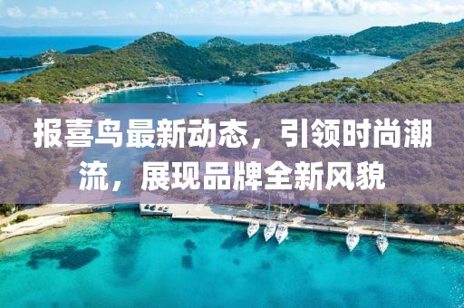 报喜鸟最新动态，引领时尚潮流，展现品牌全新风貌