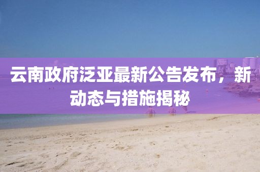 云南政府泛亚最新公告发布，新动态与措施揭秘