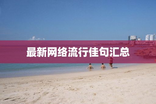 最新网络流行佳句汇总