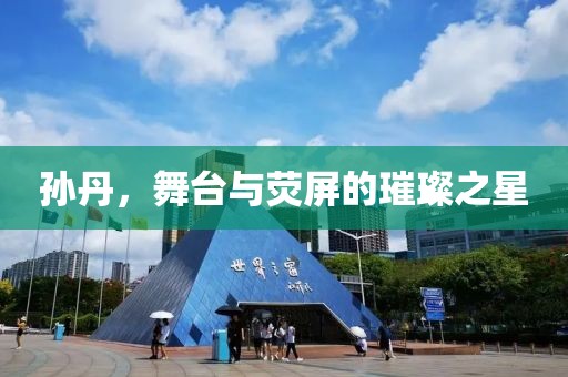 孙丹，舞台与荧屏的璀璨之星