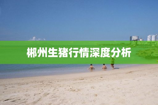 郴州生猪行情深度分析
