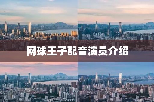 网球王子配音演员介绍