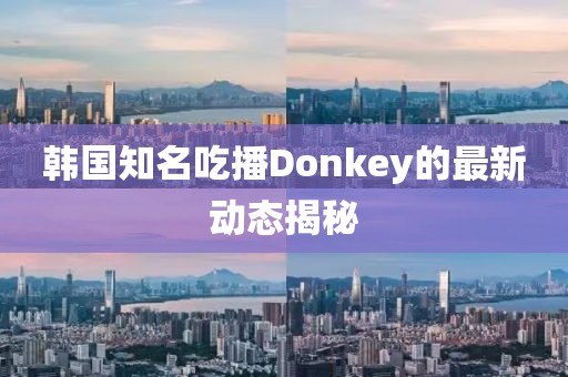韩国知名吃播Donkey的最新动态揭秘