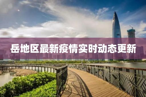 岳地区最新疫情实时动态更新
