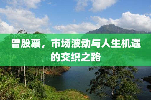 曾股票，市场波动与人生机遇的交织之路
