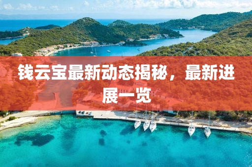 钱云宝最新动态揭秘，最新进展一览